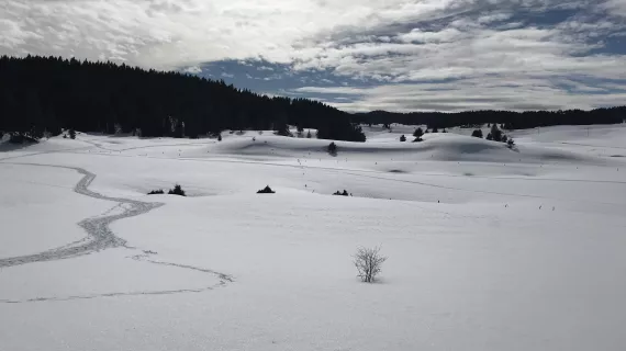 Jura un petit air de canada