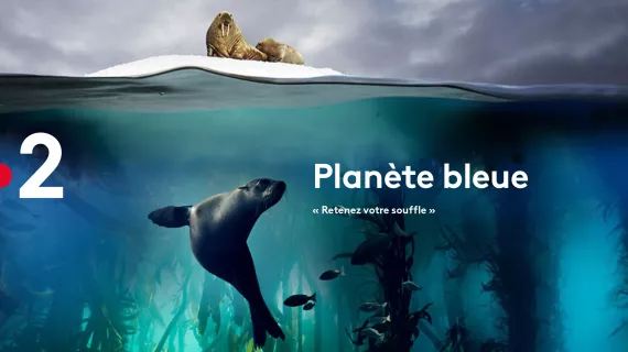 Planète bleue
