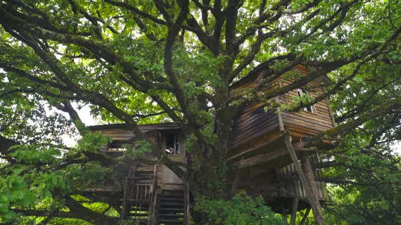 Un monde de cabanes