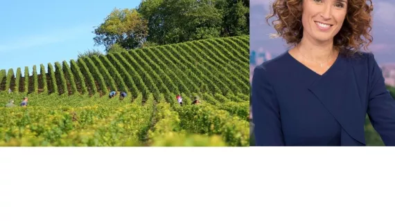 Jour de Vendanges c France 3