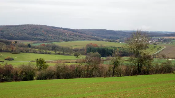 Paysage Haute-Saône