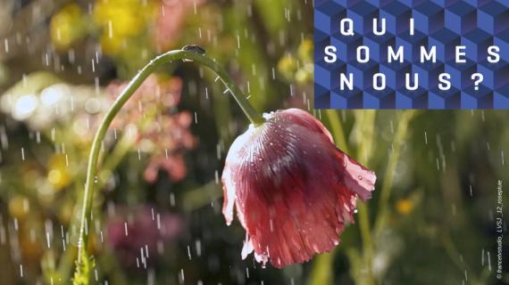 QSN - La vie secrète du jardin