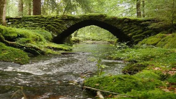 La rivière 