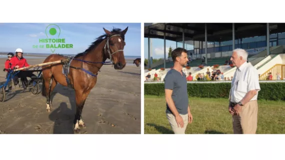 Les fous de l'hippodrome