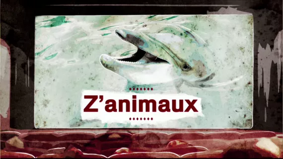 Z'animaux