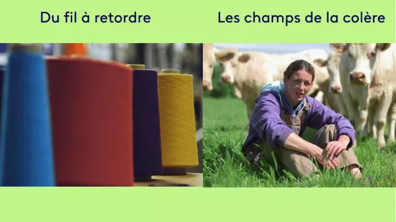 Soirée documentaires