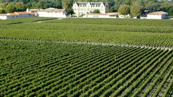 Voyage au cœur du vignoble bordelais