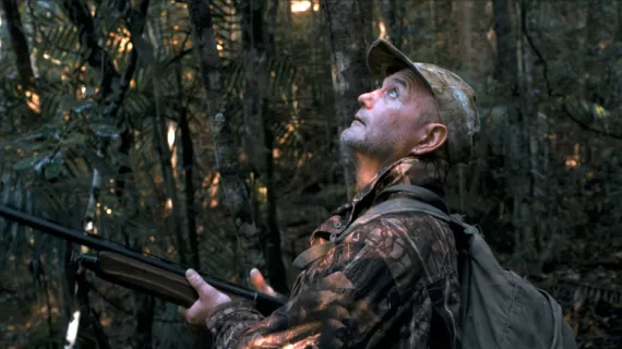 dans les pas...des chasseurs d'or vert
