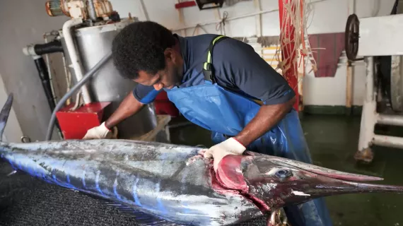 dans les pas...des pêcheurs en haute mer