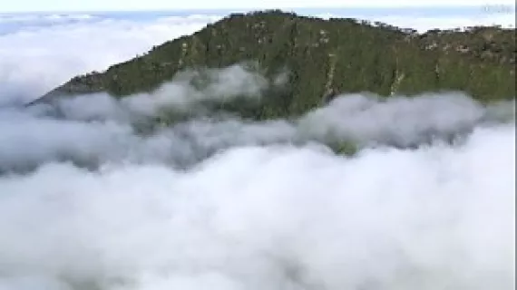 l'esprit de la terre, le kaori du mont panié