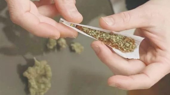CANNABIS