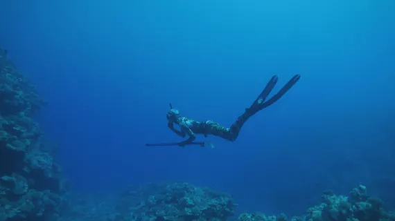 3 NUANCES DE BLEU - PACIFIQUE, UN OCÉAN NOURRICIER