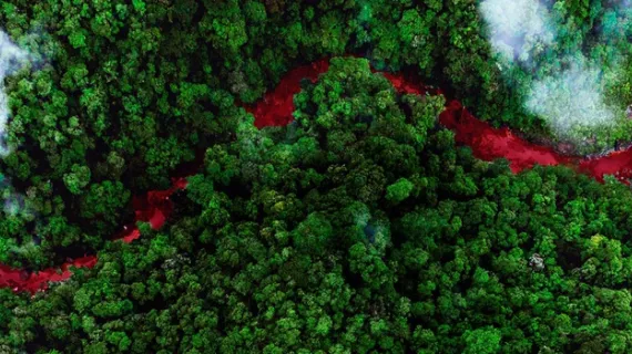 Green blood