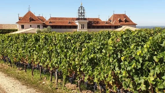 Bis à Saint-Emilion - Château Angélus 