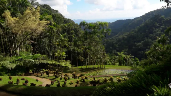 Martinique en fête