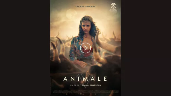 Animale