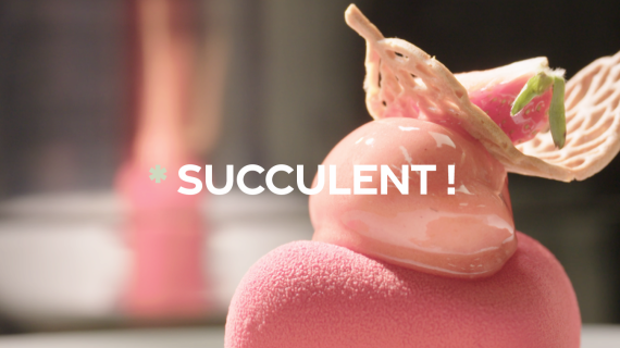 Succulent ! - La fraise - CREDIT FTV