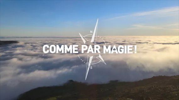 Comme par magie