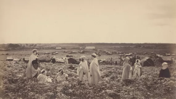 Caledoun