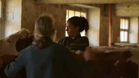 Kelly et les bergères