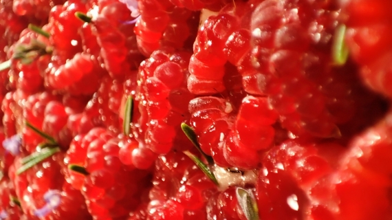 Framboises et romarin