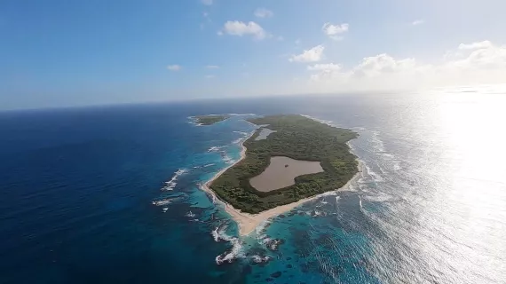 La vie sauvage des monuments aux Petites Antilles