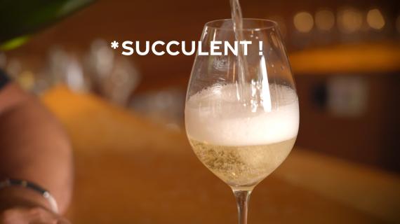 Succulent ! - Le champagne - CREDIT FTV