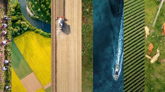 visuel-salon-agriculture