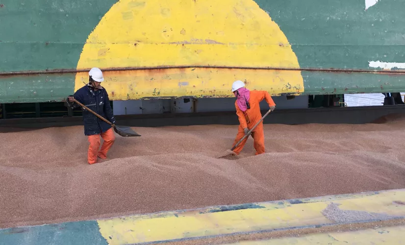 Déchargement bâteau Déchargement bâteau