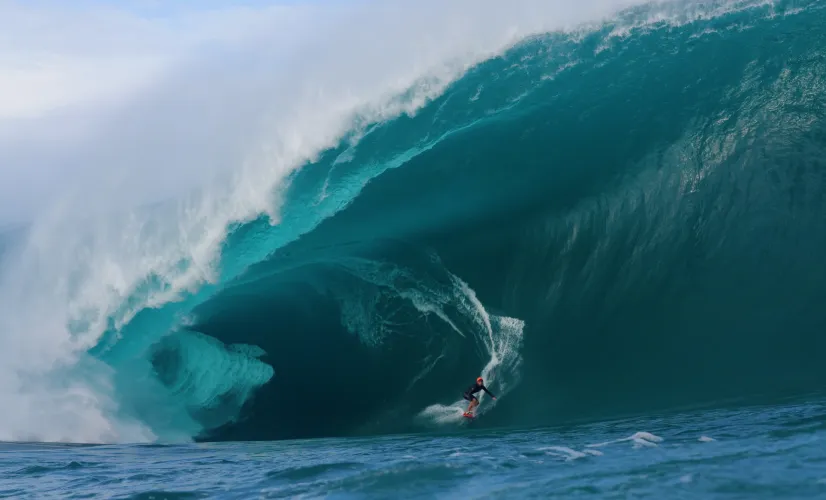 Surf, le feu sacré