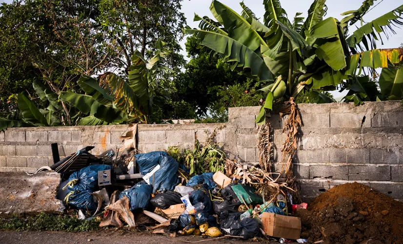 © Carla BERNHARDT / AFP Dépôt sauvage d'ordures à Basse-Terre