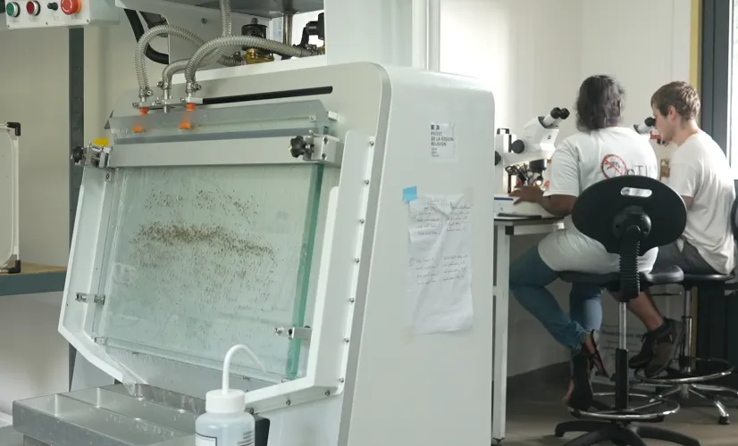 Innover, produire localement et préserver notre île : quels sont les nouveaux visages de l’économie réunionnaise ? 🚀🇷🇪 Ce jeudi à 19h45 sur Réunion la 1ère, Les Nouveaux Défis vous plongent au cœur des initiatives qui transforment notre territoire 💡. De l’industrie ménagère locale aux technologies anti-moustiques 🦟, découvrez celles et ceux qui façonnent La Réunion de demain ! 🌿💪