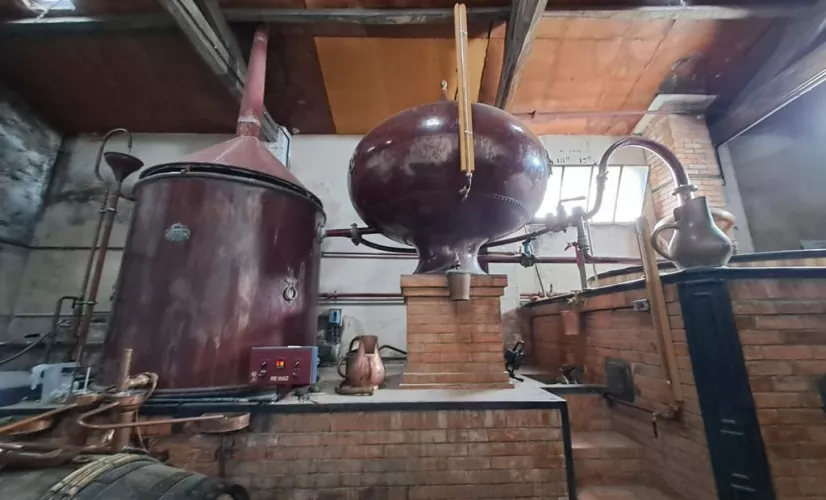 Cognac et littérature : passions françaises