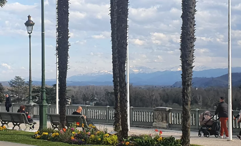 Bis le magazine de la curiosité à Pau