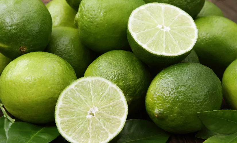 CPAF DOC 3.7 agrumes