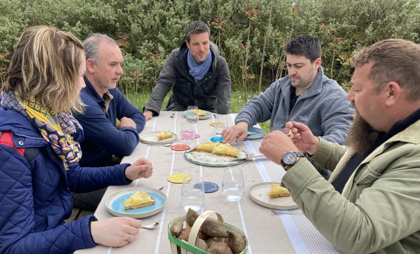 Tarte aux poires de terre à Talmont-Saint-Hilaire 