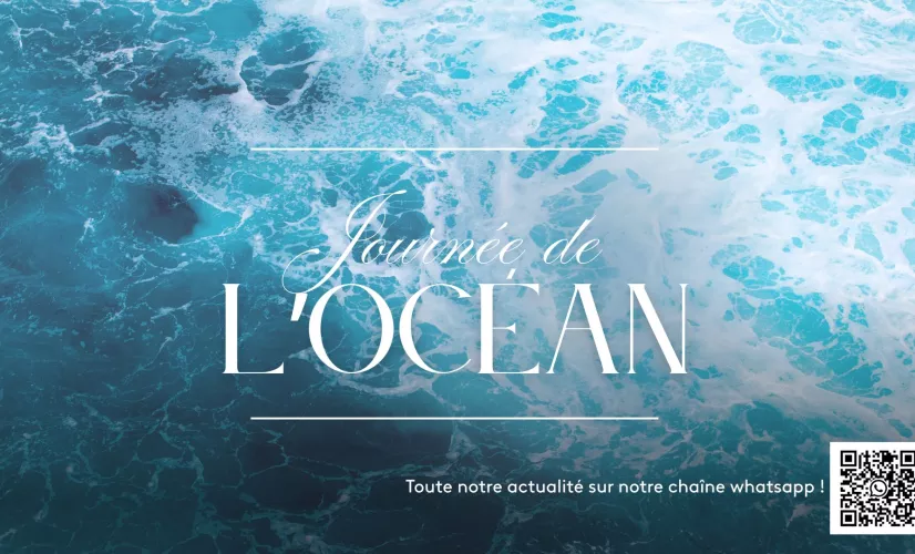 journée de l'océan