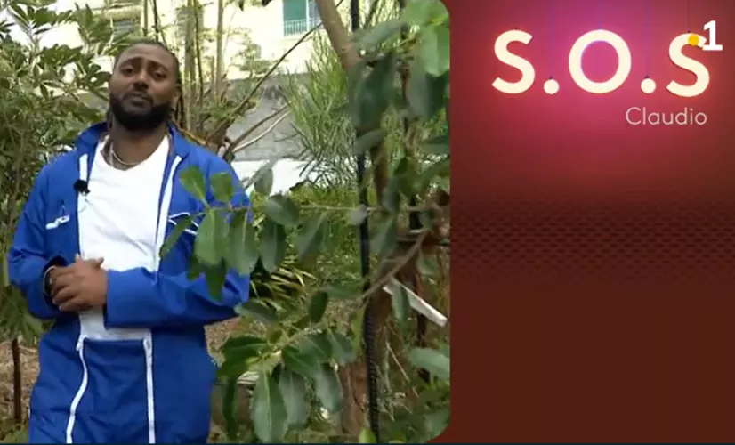 👨‍🔧Au quotidien, nous avons tous parfois des tracas domestiques que l'on aimerait éviter ou des problèmes techniques, à priori sans importance, à résoudre. Ces désagréments jouent avec nos nerfs comme une étagère branlante, une fenêtre qui ferme mal, un robinet qui fuit… Malheureusement nous ne sommes pas tous d'habiles bricoleurs ! Pas de panique, la solution est sur Réunion la 1ère en téléphonant  à « SOS Claudio » au 06 92 71 80 67 . 🤳