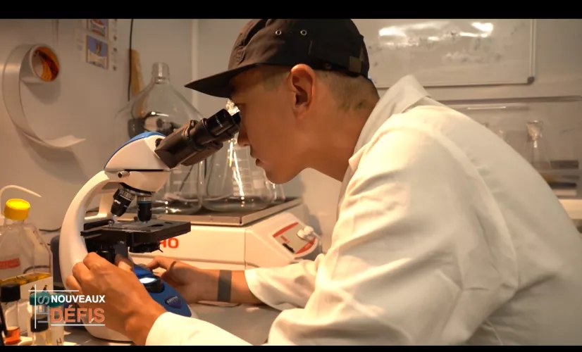 Les Nouveaux Défis, votre rendez-vous avec l’économie de l'île sur Réunion la 1ère : Best of 2025