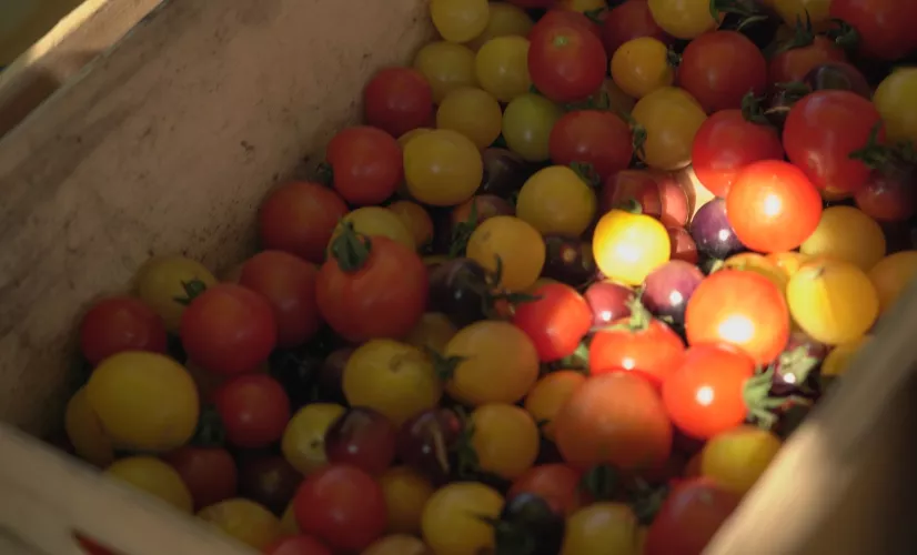 Les champs du possible