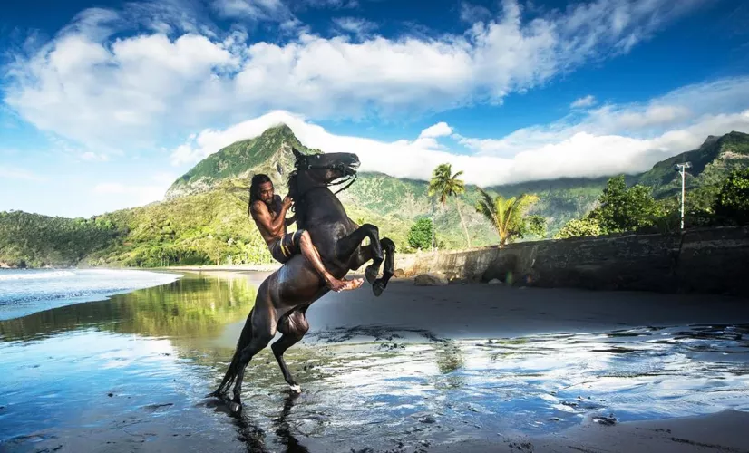 UA HUKA : L'ÎLE AUX CHEVAUX