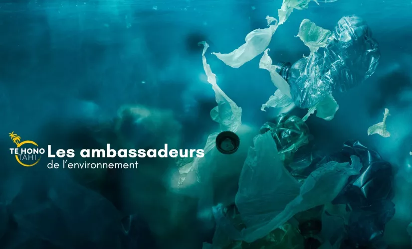 ambassadeurs de l'environnement saison 2