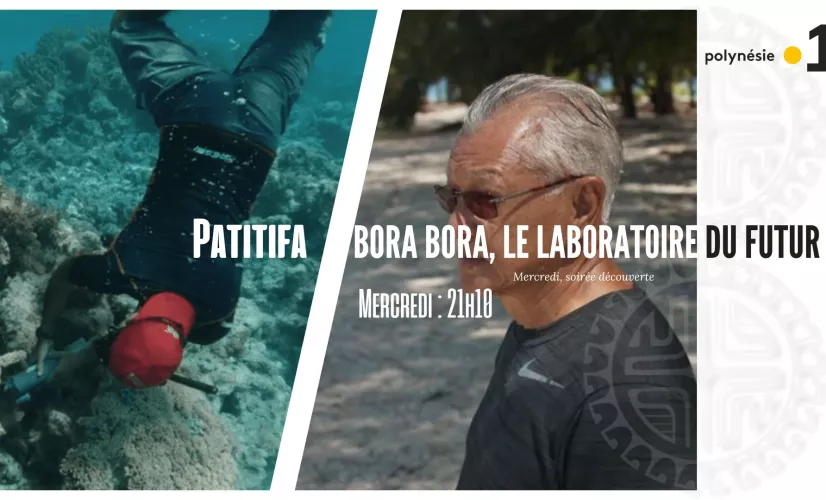 BORA BORA, le laboratoire du futur .jpg BORA BORA, le laboratoire du futur .jpg