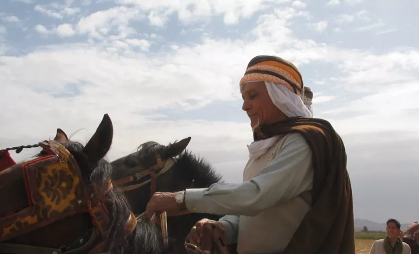 Aïfa de A à Zèbre