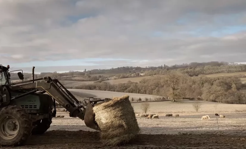 Les authentiques, un documentaire réalisé par Nicolas Fay 