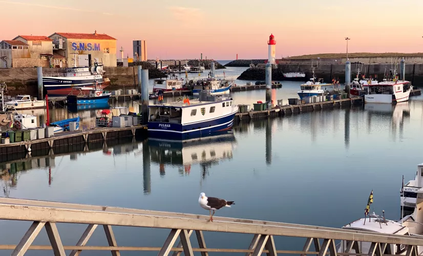 port de la Cotinière DEP Grande Région du 14 avril