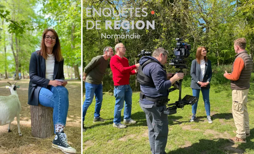 EDR animaux de compagnie