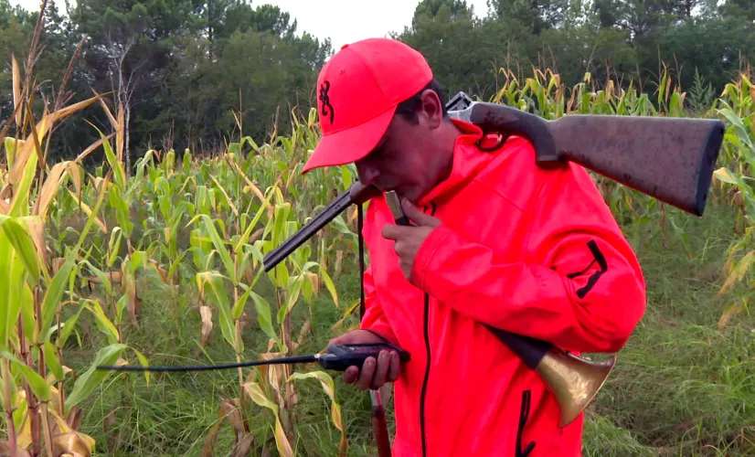 Enquêtes de région Chasse C