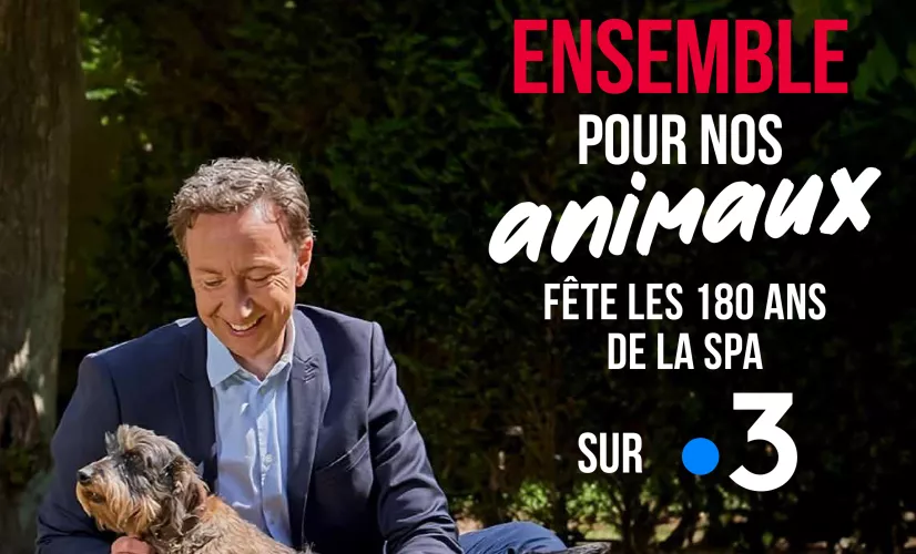 Ensemble pour nos animaux