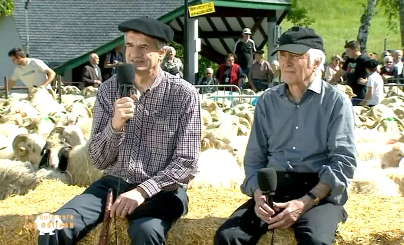 En route vers les estives